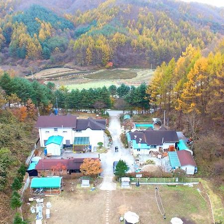 솔향기 펜션 홍천 외부 사진