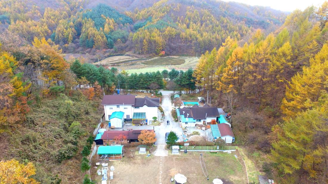 솔향기 펜션 홍천 외부 사진