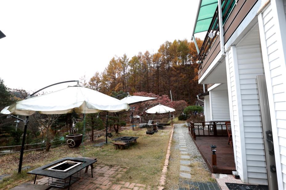 솔향기 펜션 홍천 외부 사진
