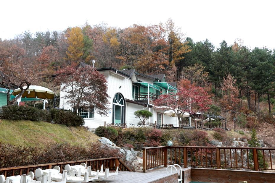 솔향기 펜션 홍천 외부 사진